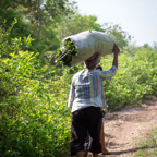 Cambodia 2015-220.jpg