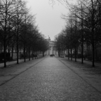 Berlin 2015-0040.jpg