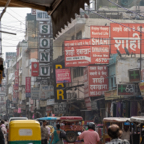 India 2019-3.jpg