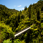 Bridge to Nowhere.jpg