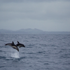 IMG_4304 - Version 2.jpg
