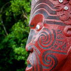 Tieke Kianga II.jpg